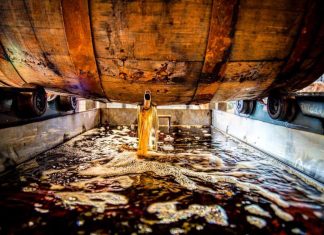 Jim Beam and Bernheim Arboretum and Research Forest Join Forces to Create Natural Limestone Water Sanctuary