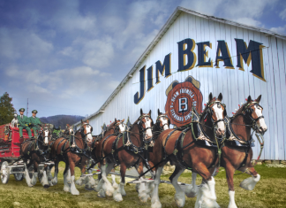 American Icons Budweiser and Jim Beam Come Together in First-of-its-Kind Collaboration