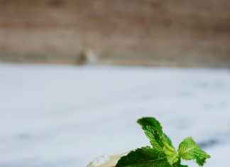 Basil Hayden’s Lemon Julep