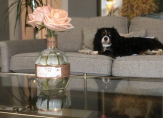 Nine Clever Ways To Reuse Your Empty Bourbon Bottles Blanton's bottles make a great vase.