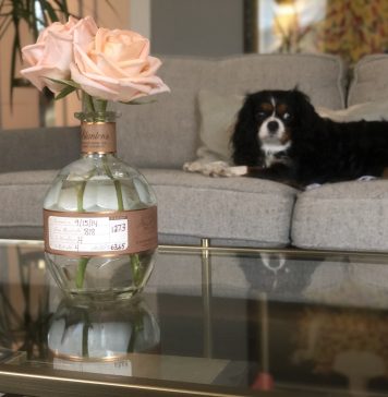 Nine Clever Ways To Reuse Your Empty Bourbon Bottles Blanton's bottles make a great vase.