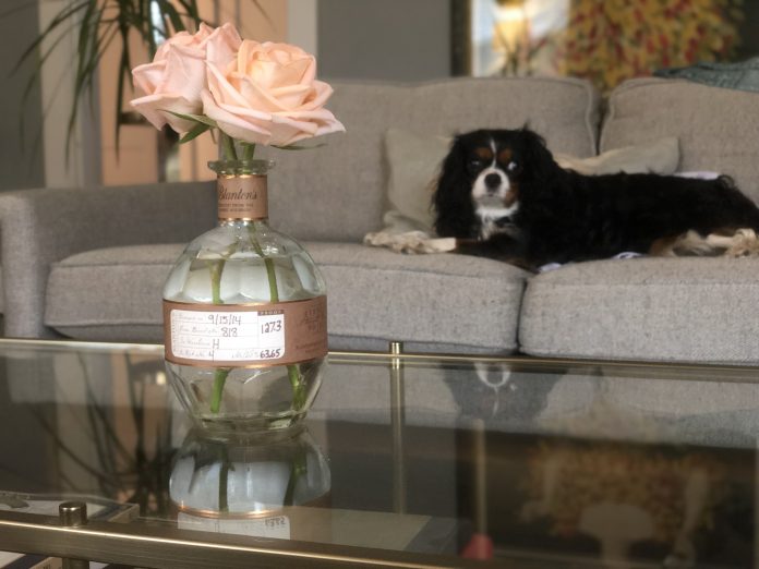 Blanton's bottles make a great vase.
