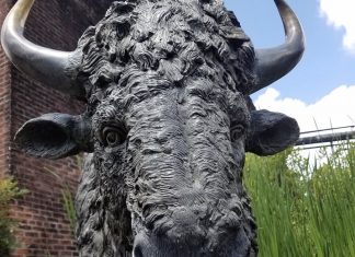 Bourbon Distilleries will be able to Reopen June 8